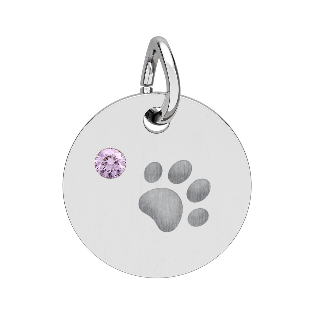 Engraved Birthstone Paw Circle Charm