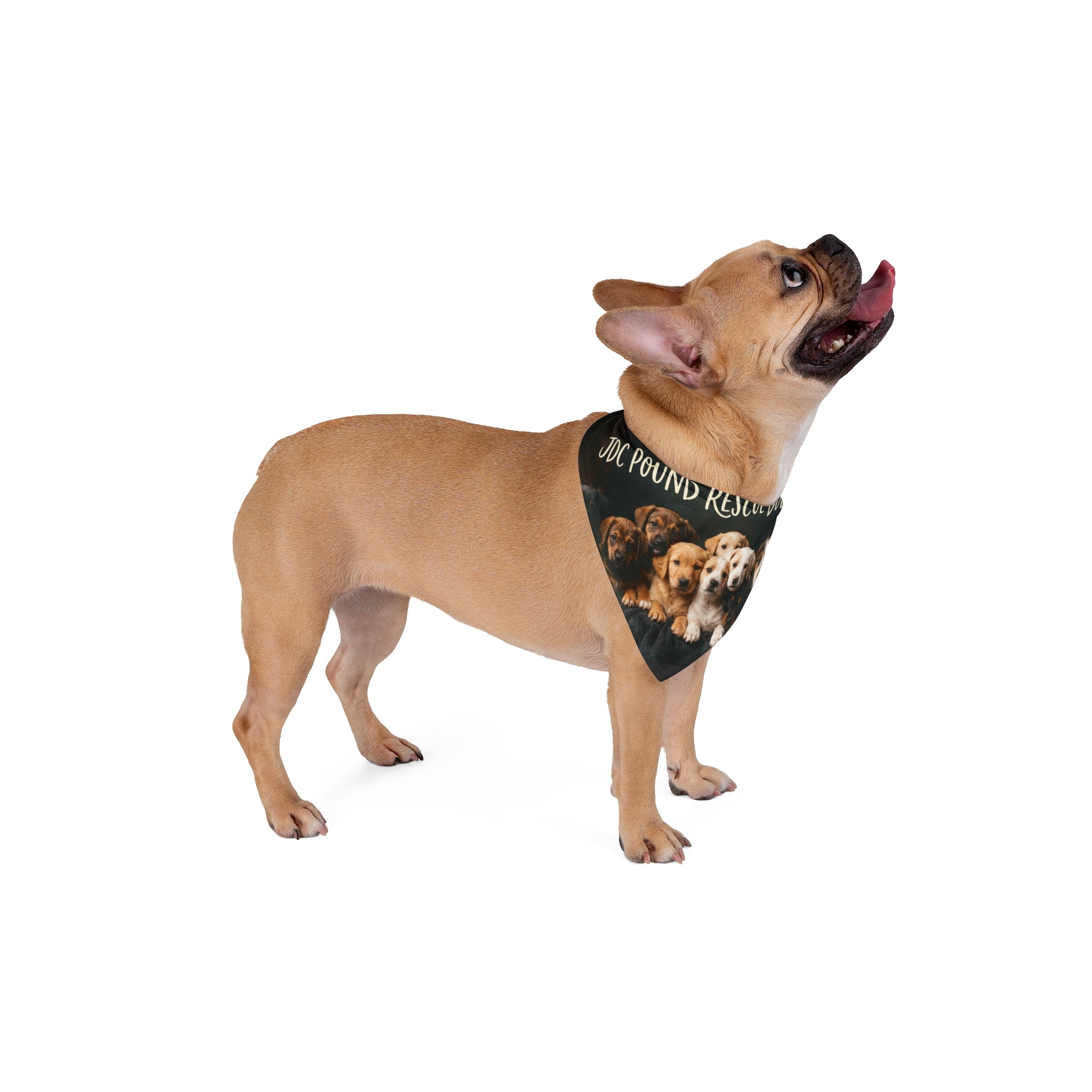 Pet Bandana — "Donor for JDC Pound Rescue Dogs" Puppy Rescue Fundraiser Bandana
