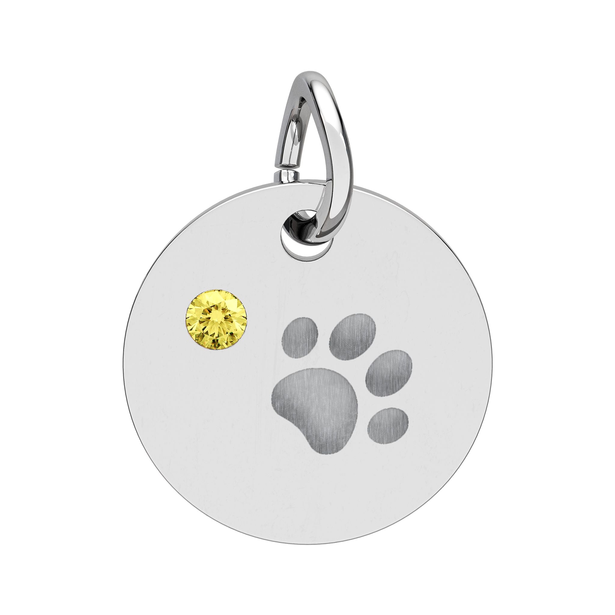 Engraved Birthstone Paw Circle Charm