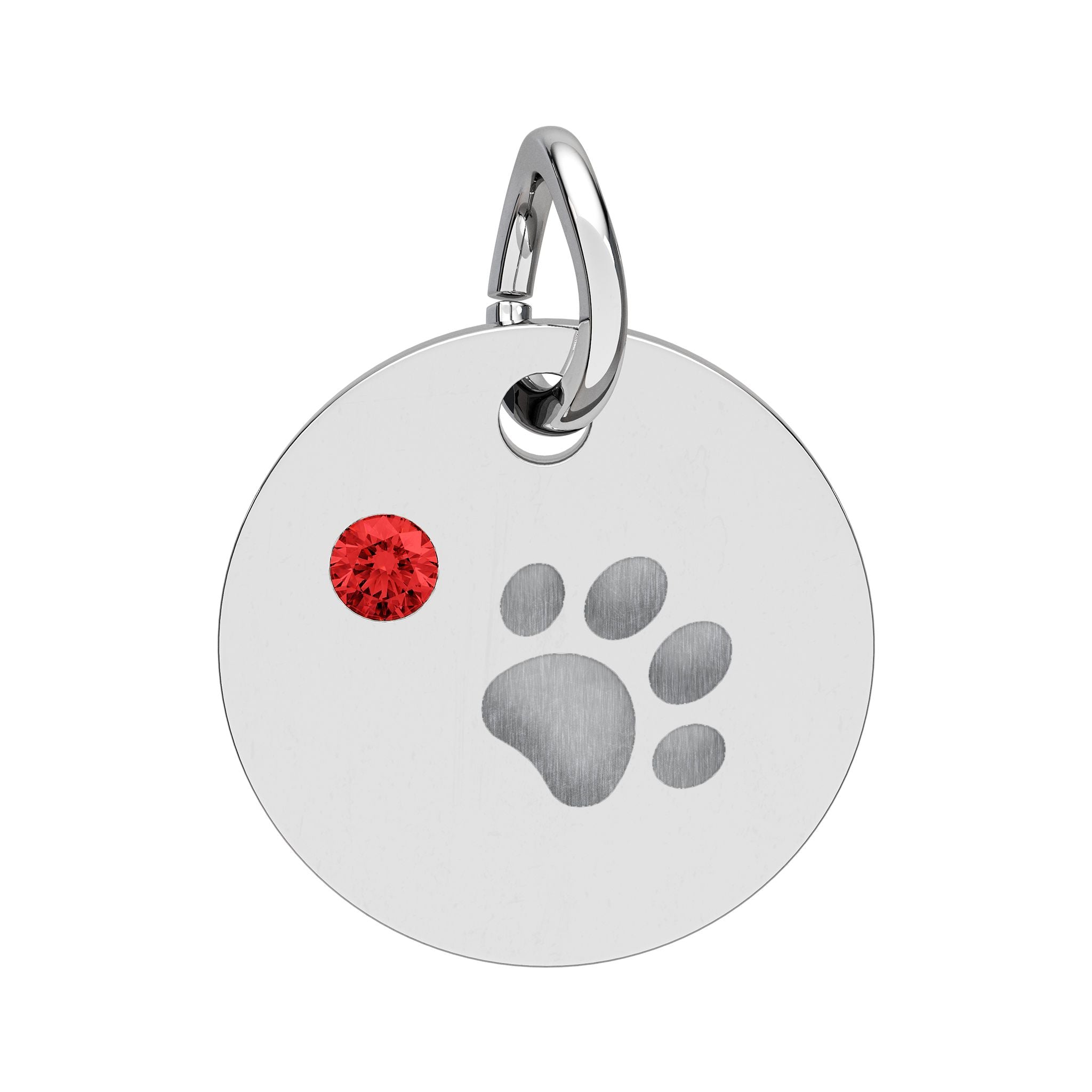 Engraved Birthstone Paw Circle Charm