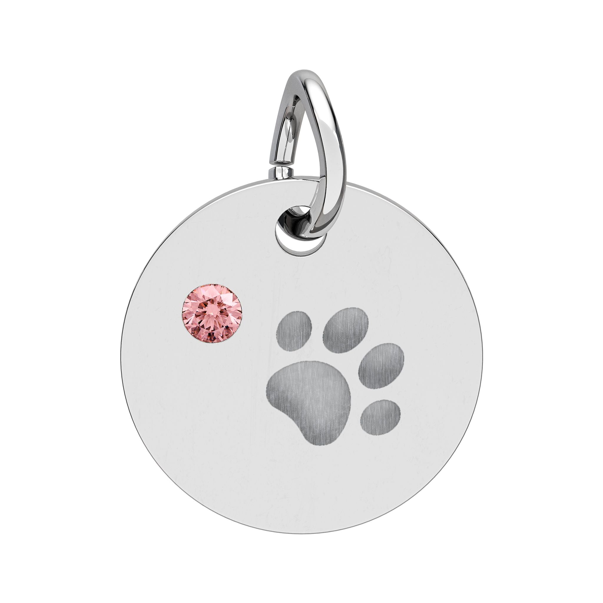 Engraved Birthstone Paw Circle Charm