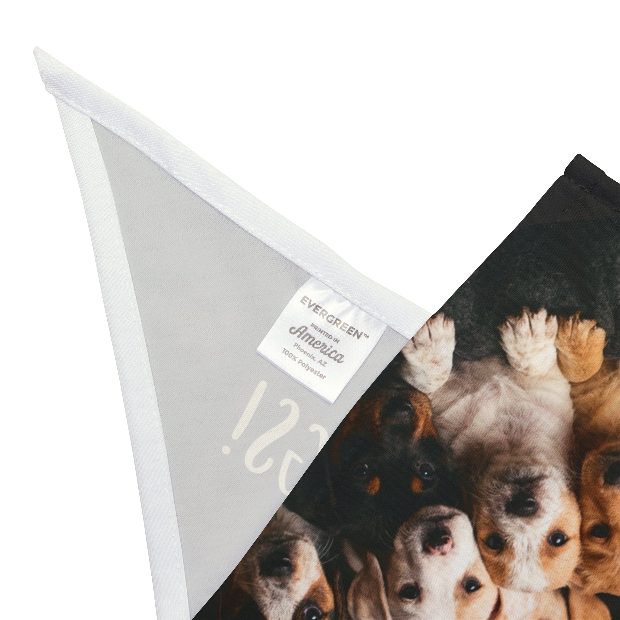 Pet Bandana — "Donor for JDC Pound Rescue Dogs" Puppy Rescue Fundraiser Bandana