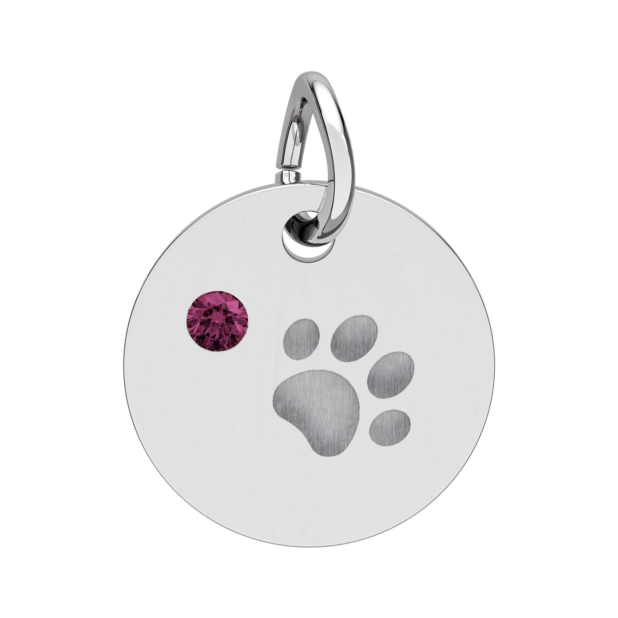 Engraved Birthstone Paw Circle Charm